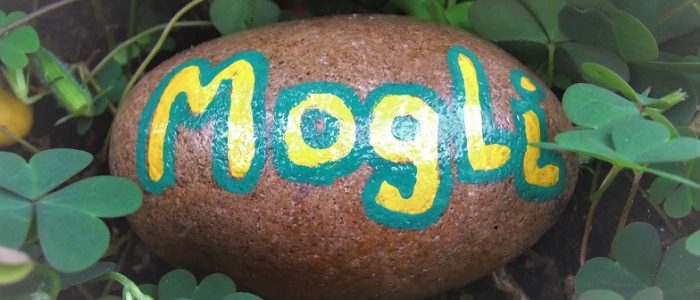 Wörtchen der Woche No 10: Mogli